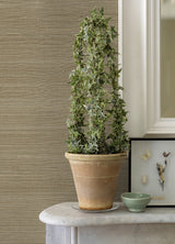 Eade’s Sakiya Neutral Sisal Grasscloth Wallpaper Neutral