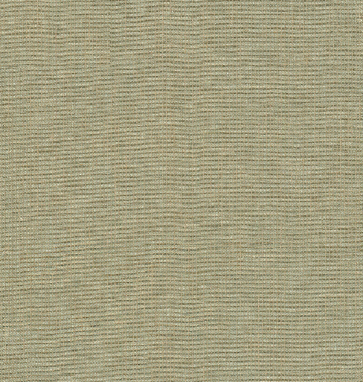 Eade’s Yanyu Sage Paper Weave Grasscloth Wallpaper Sage