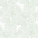 A-Street Prints 2973-90501 Finnley Green Inked Fern Wallpaper