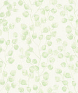 Advantage 2979-37005-1 Mali Green Trail Wallpaper
