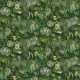 Advantage 2979-37280-2 Luana Green Tropical Forest Wallpaper