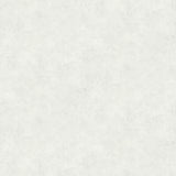 Advantage 2979-37370-4 Rainey Off-White Texture Wallpaper