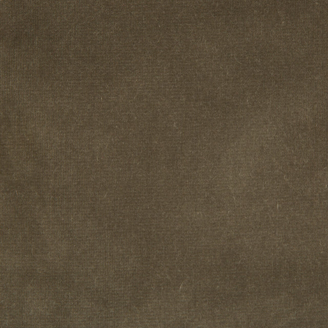 KRAVET DESIGN 29800.106.0 ENDURE SOURIS Fabric - Eade's Wallpaper