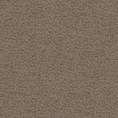 KRAVET COUTURE 29838.106.0 BEHOLD SHALE Fabric - Eade's Wallpaper