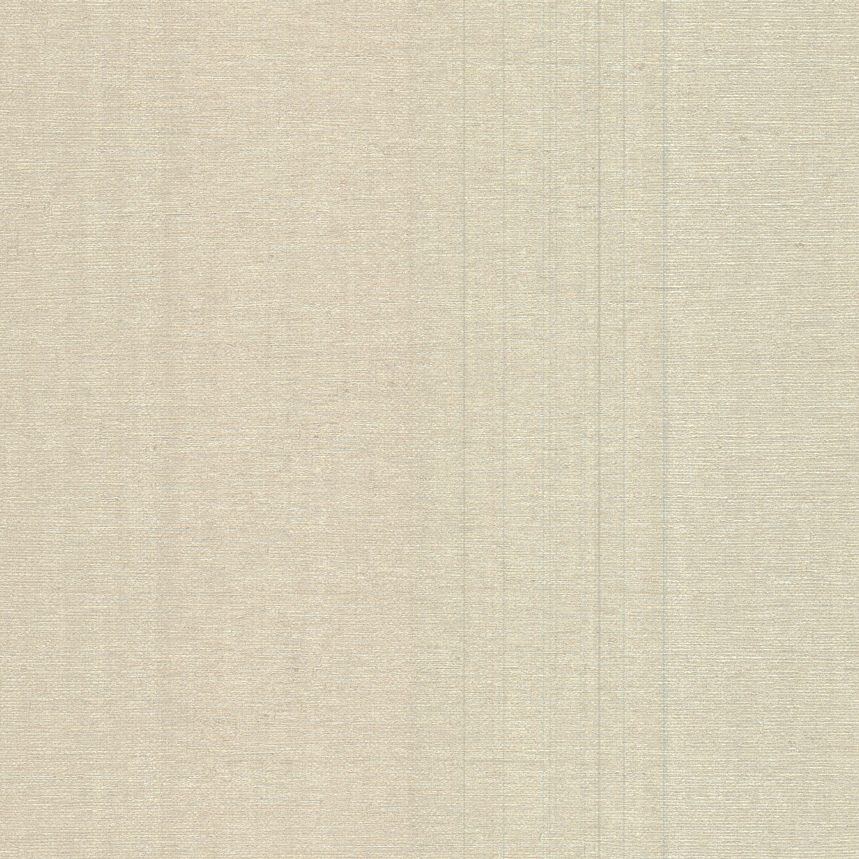 Warner 2984-87911 Aspero Champagne Faux Grasscloth Wallpaper