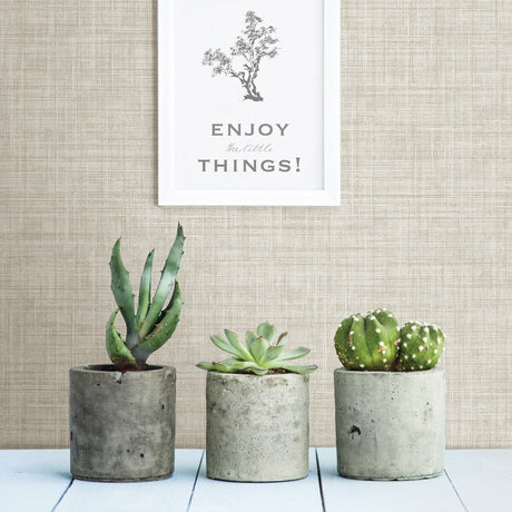 A-Street Prints 2999-24273 Tuckernuck Taupe Linen Wallpaper