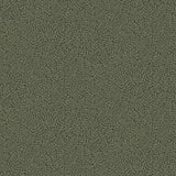 A-Street Prints 2999-55000 Anna Dark Green Fern Trail Wallpaper