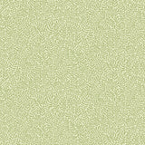 A-Street Prints 2999-55001 Anna Light Green Fern Trail Wallpaper