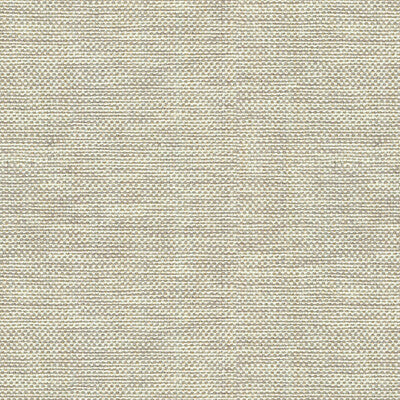 KRAVET BASICS 30299.106.0 KRAVET BASICS 30299-106 Fabric - Eade's Wallpaper