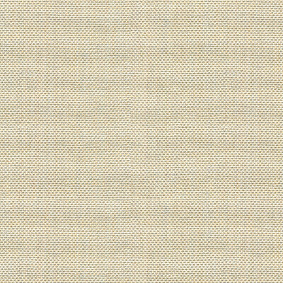 KRAVET BASICS 30299.1116.0 KRAVET BASICS 30299-1116 Fabric - Eade's Wallpaper