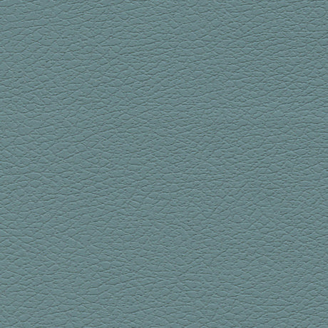 Schumacher 303-2697 BRISA in MINERAL Fabric - ULTRALEATHER