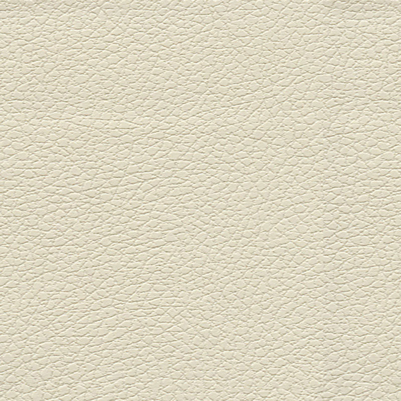 Schumacher 303-3019 BRISA in BIRCH Fabric - ULTRALEATHER