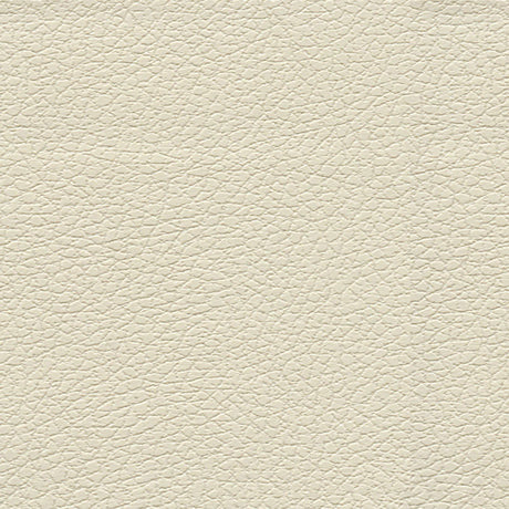 Schumacher 303-3019 BRISA in BIRCH Fabric - ULTRALEATHER