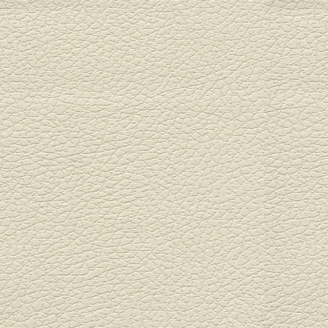 Schumacher 303-3019 BRISA in BIRCH Fabric - ULTRALEATHER