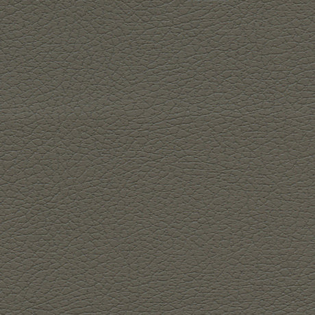 Schumacher 303-3022 BRISA in SHITAKE Fabric - ULTRALEATHER
