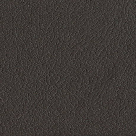 Schumacher 303-3023 BRISA in COFFEE BEAN Fabric - ULTRALEATH