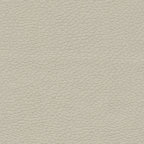 Schumacher 303-3822 BRISA in BONE Fabric - ULTRALEATHER