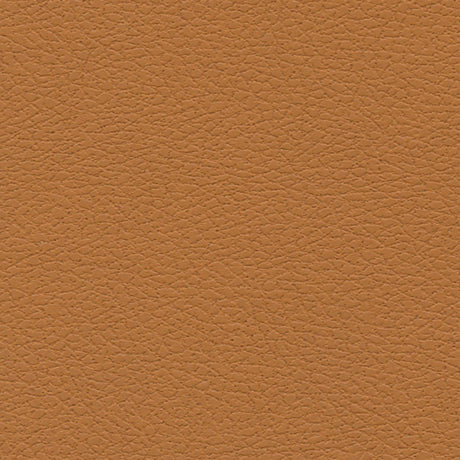 Schumacher 303-3823 BRISA in AZTEC Fabric - ULTRALEATHER