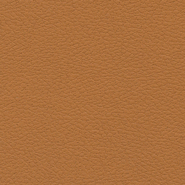 Schumacher 303-3823 BRISA in AZTEC Fabric - ULTRALEATHER