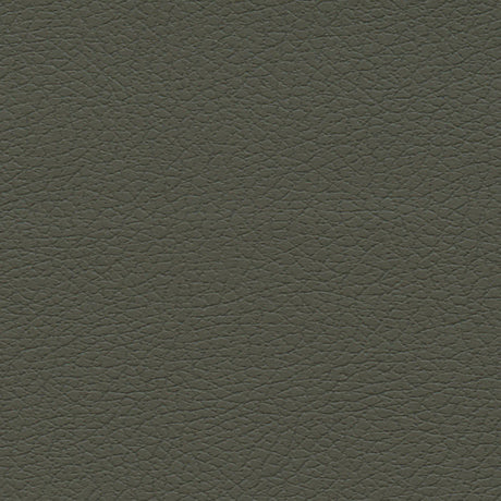 Schumacher 303-4488 BRISA in OLIVE Fabric - ULTRALEATHER