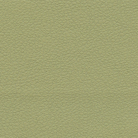 Schumacher 303-4510 BRISA in CELERY Fabric - ULTRALEATHER
