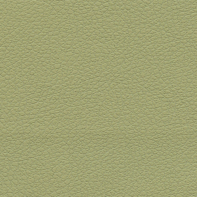Schumacher 303-4510 BRISA in CELERY Fabric - ULTRALEATHER