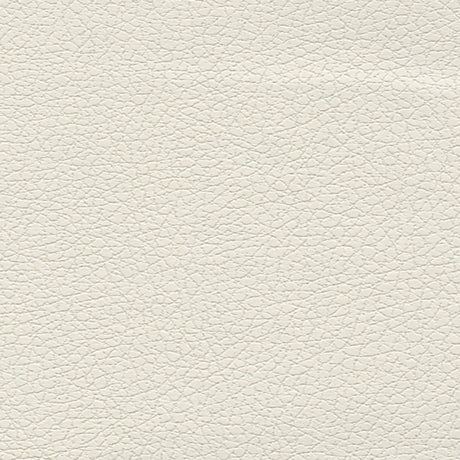 Schumacher 303-5747 BRISA in WHITE Fabric - ULTRALEATHER