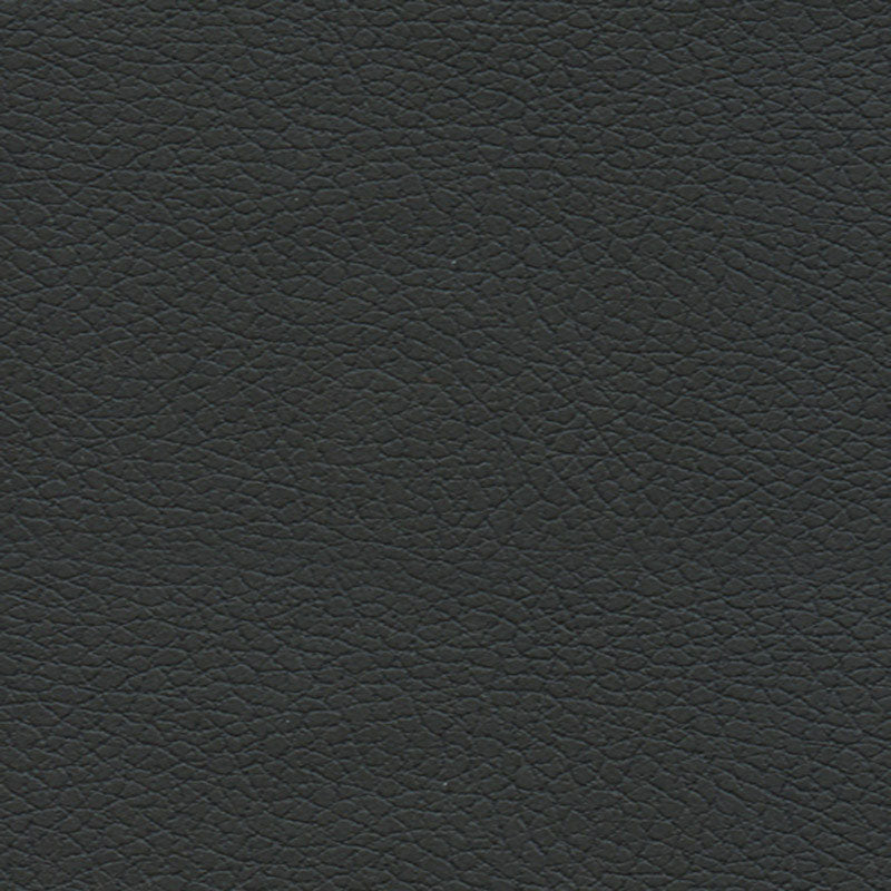 Schumacher 303-5749 BRISA in BLACK ONYX Fabric - ULTRALEATHE