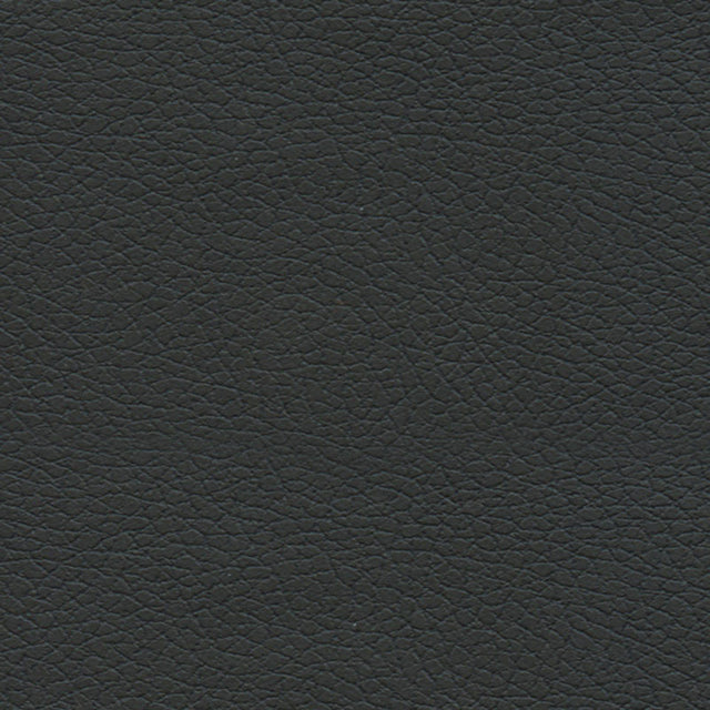 Schumacher 303-5749 BRISA in BLACK ONYX Fabric - ULTRALEATHE