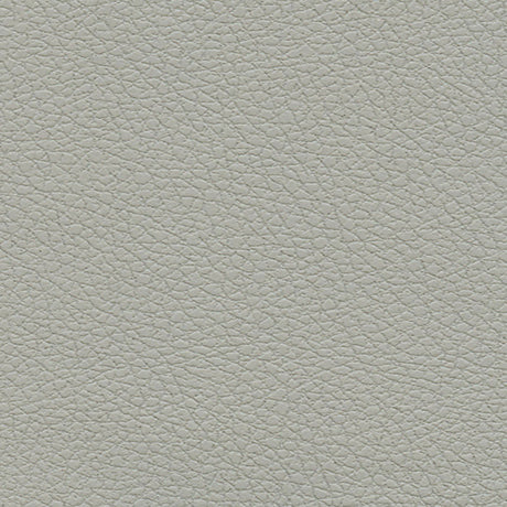 Schumacher 303-5820 BRISA in QUICKSILVER Fabric - ULTRALEATH