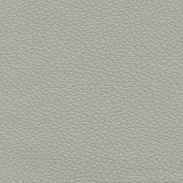Schumacher 303-5820 BRISA in QUICKSILVER Fabric - ULTRALEATH