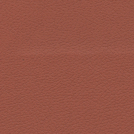 Schumacher 303-8245 BRISA in CINNABAR Fabric - ULTRALEATHER
