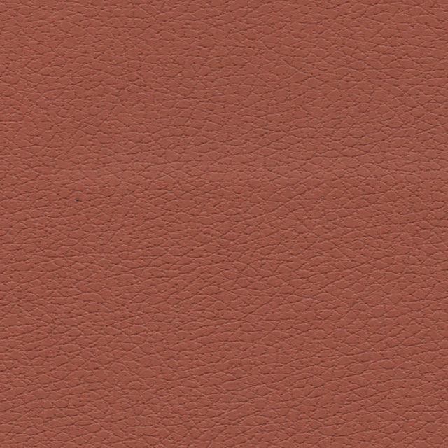 Schumacher 303-8245 BRISA in CINNABAR Fabric - ULTRALEATHER