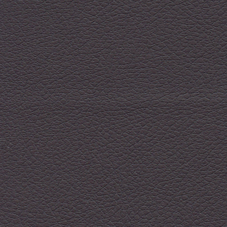 Schumacher 303-9378 BRISA in GRAPHITE Fabric - ULTRALEATHER