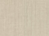 Eijffinger 307331 Diego Taupe Distressed Texture Wallpaper