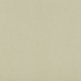 KRAVET DESIGN 30787.100.0 ULTRASUEDE GREEN RICE Fabric - Eade's Wallpaper