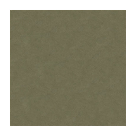 KRAVET DESIGN 30787.1121.0 ULTRASUEDE GREEN FLANNEL Fabric - Eade's Wallpaper
