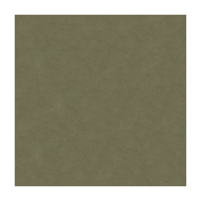 KRAVET DESIGN 30787.1121.0 ULTRASUEDE GREEN FLANNEL Fabric - Eade's Wallpaper