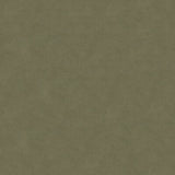 KRAVET DESIGN 30787.1121.0 ULTRASUEDE GREEN FLANNEL Fabric - Eade's Wallpaper