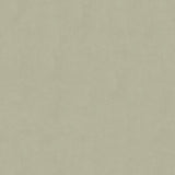 KRAVET DESIGN 30787.2101.0 ULTRASUEDE GREEN ASH Fabric - Eade's Wallpaper