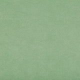 KRAVET DESIGN 30787.303.0 ULTRASUEDE GREEN SPRIG Fabric - Eade's Wallpaper