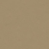 KRAVET DESIGN 30787.6116.0 ULTRASUEDE GREEN PUMICE Fabric - Eade's Wallpaper
