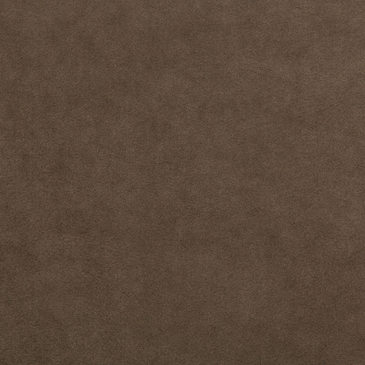 KRAVET DESIGN 30787.661.0 ULTRASUEDE GREEN EARTH Fabric - Eade's Wallpaper