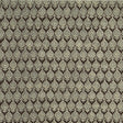 Schumacher 310N28 SARI in MOLE Fabric - RAOUL TEXTILES