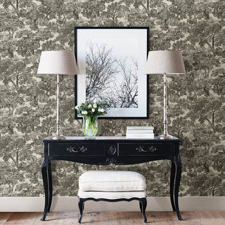 Chesapeake 3112-002723 Blyth Black Toile Wallpaper