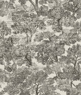 Chesapeake 3112-002723 Blyth Black Toile Wallpaper