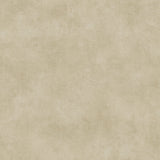 Chesapeake 3112-002768 Crawley Beige Texture Wallpaper