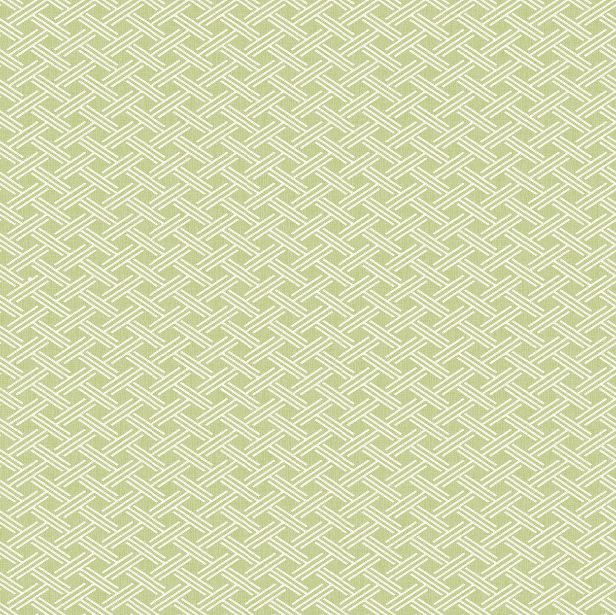 Chesapeake 3113-12082 Sweetgrass Green Lattice Wallpaper