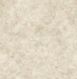 Chesapeake 3114-003393 Astor Rust Texture Wallpaper