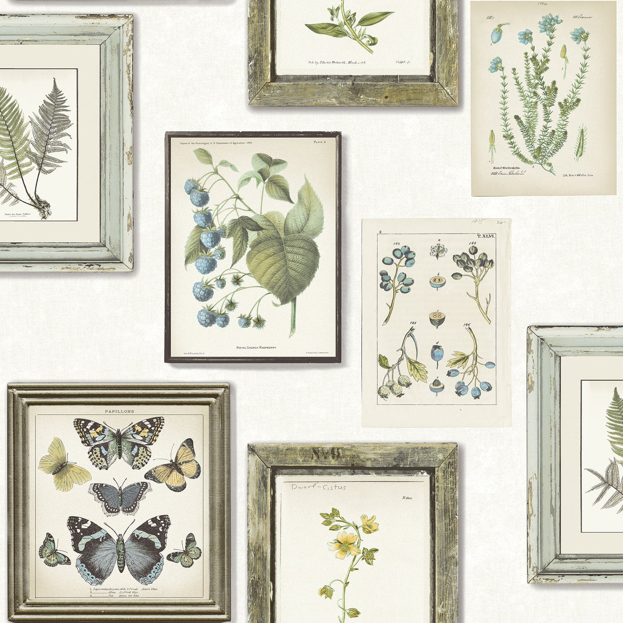 Chesapeake 3115-12502 Sibylla Teal Gallery Wallpaper
